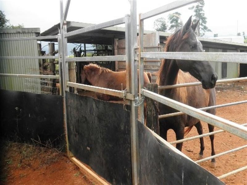 448 Dunne Road, Innisfail QLD 4860