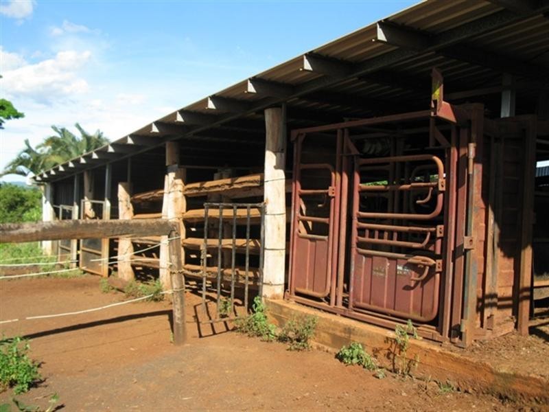 448 Dunne Road, Innisfail QLD 4860