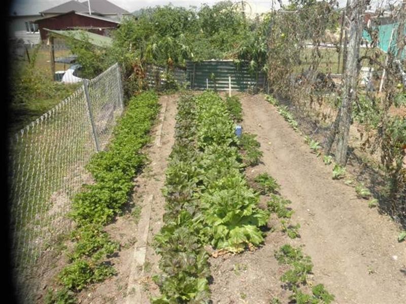 26 Glasgow, El Arish QLD 4855