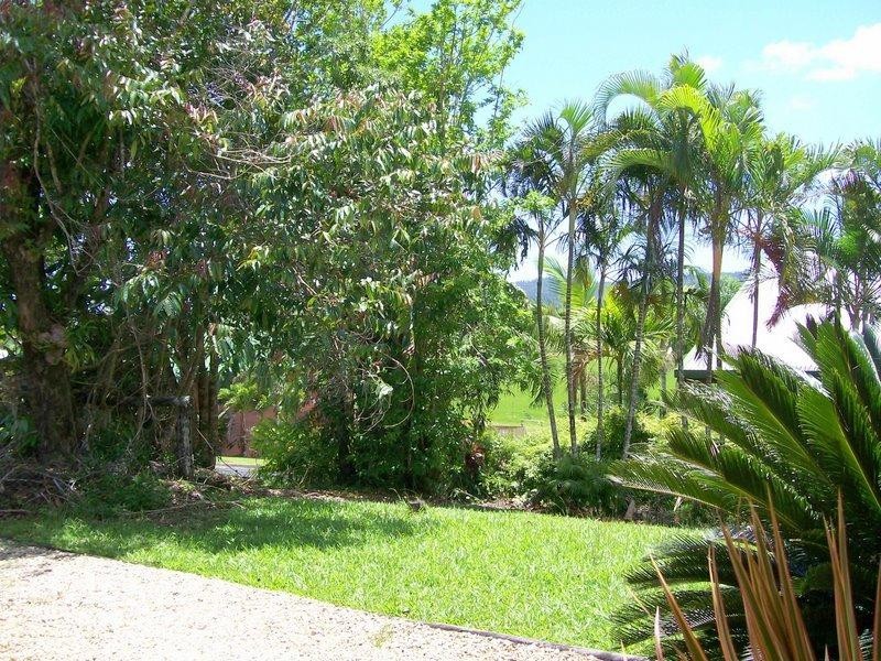 76 Marty Street, Innisfail QLD 4860