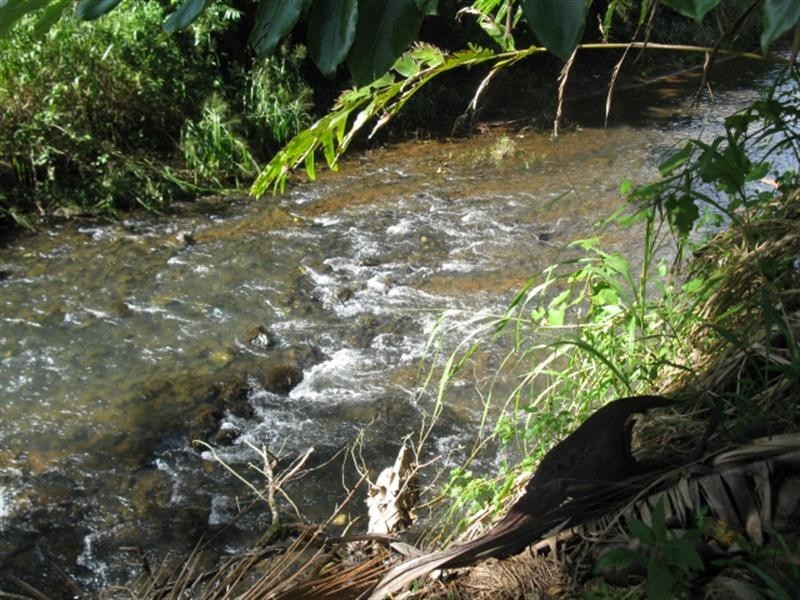 1316 Palmerston H”way, Innisfail QLD 4860