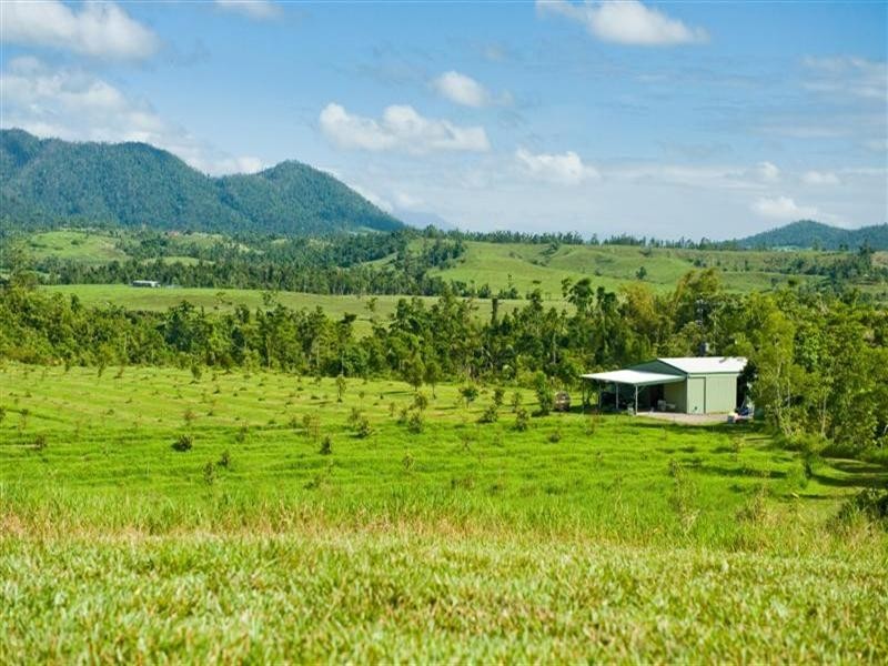 541 Mena Creek Road, Mena Creek QLD 4871