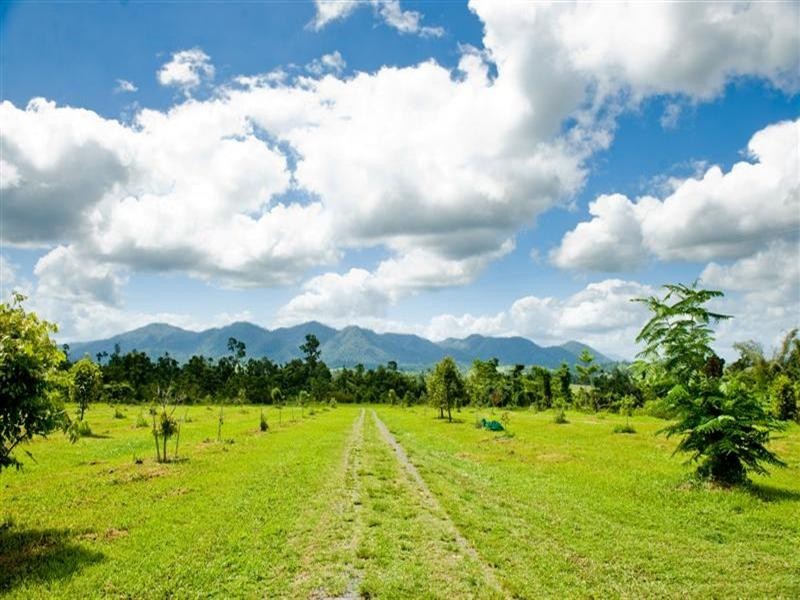 541 Mena Creek Road, Mena Creek QLD 4871