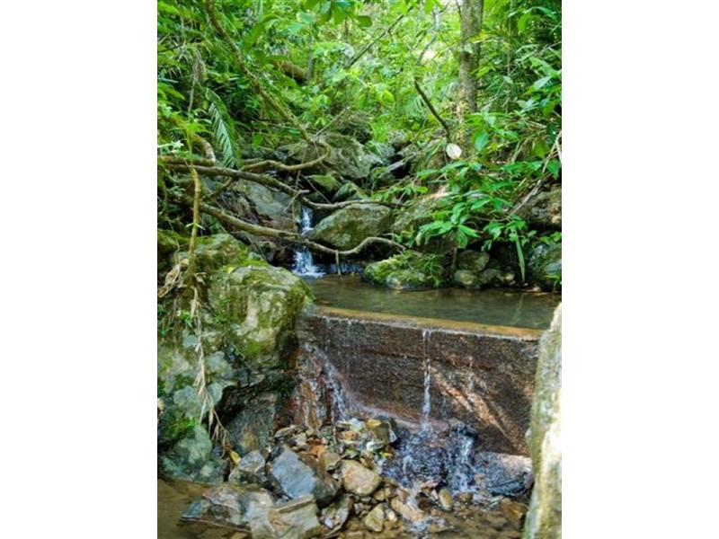 541 Mena Creek Road, Mena Creek QLD 4871