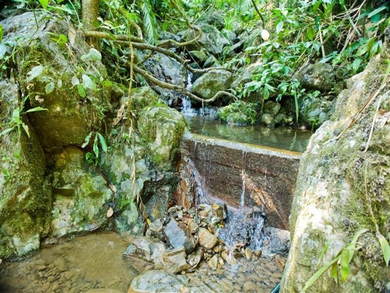 541 Mena Creek Road, Mena Creek QLD 4871