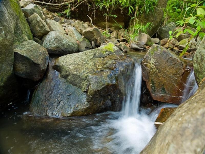 541 Mena Creek Road, Mena Creek QLD 4871