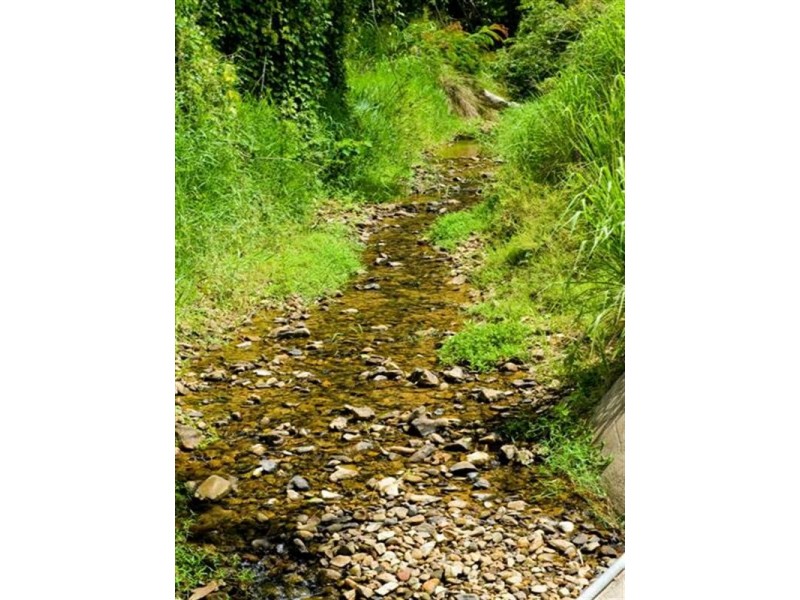 541 Mena Creek Road, Mena Creek QLD 4871