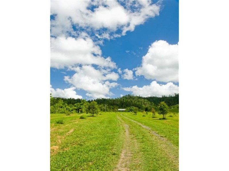 541 Mena Creek Road, Mena Creek QLD 4871