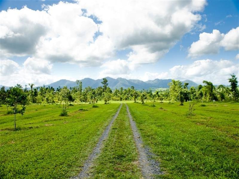 541 Mena Creek Road, Mena Creek QLD 4871