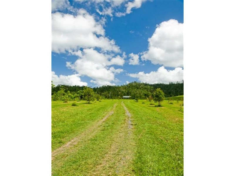 541 Mena Creek Road, Mena Creek QLD 4871