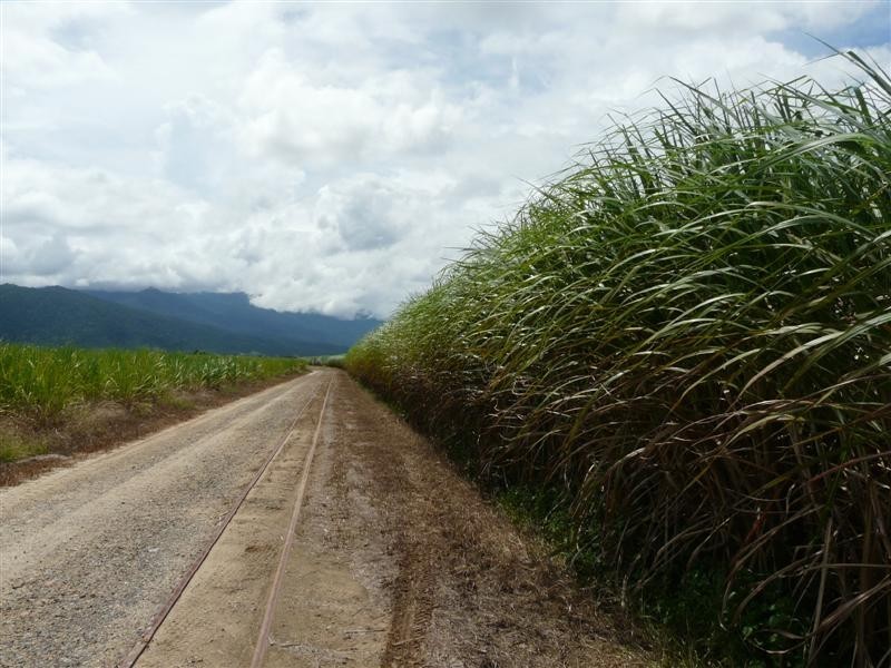 Lot 1 Goldsworthy Road, Miriwinni QLD 4871