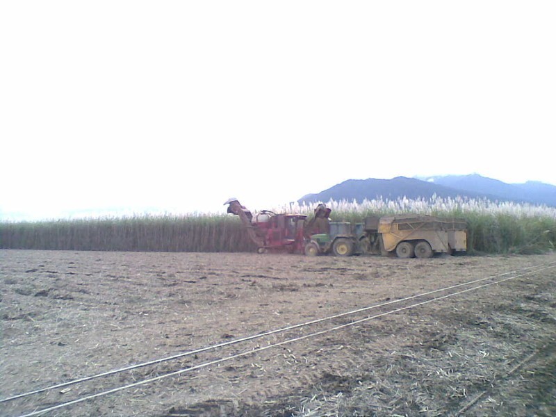 Lot 1 Goldsworthy Road, Miriwinni QLD 4871