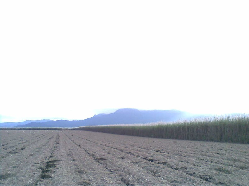 Lot 1 Goldsworthy Road, Miriwinni QLD 4871