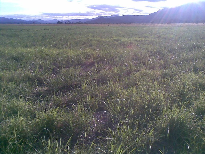 Lot 1 Goldsworthy Road, Miriwinni QLD 4871