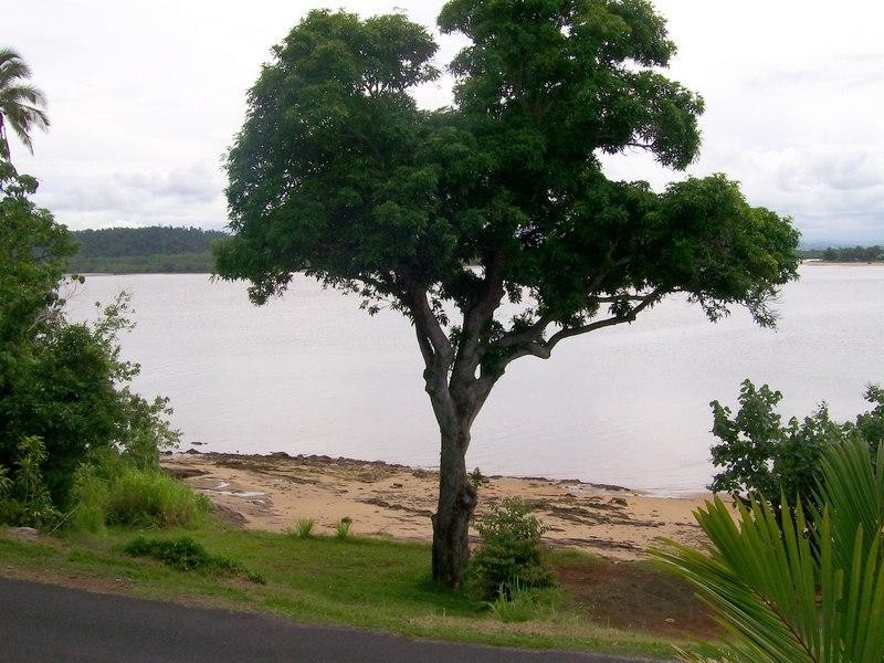 1 Maria Street, Flying Fish Point QLD 4860