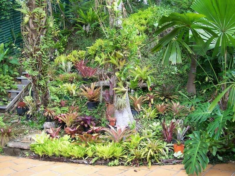 1 Maria Street, Flying Fish Point QLD 4860