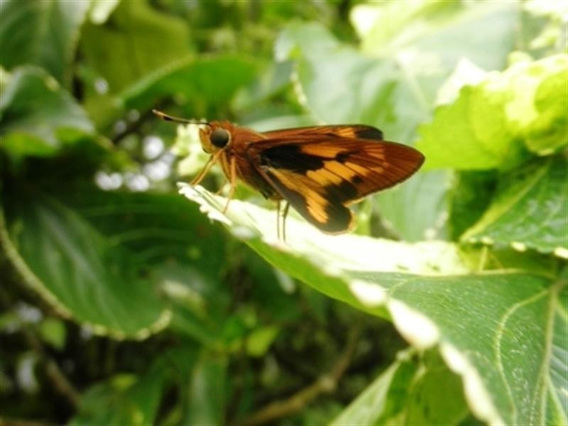 346 Mourilyan Harbour, Mourilyan QLD 4858