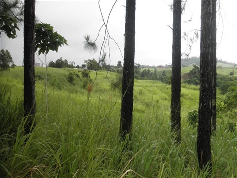 6 Henderson, Innisfail QLD 4860