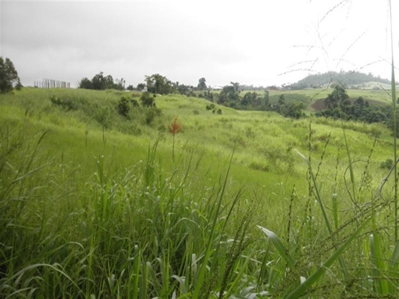 6 Henderson, Innisfail QLD 4860