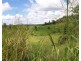 Lot 17 Kimberley Drive, Pin Gin Hill QLD 4860