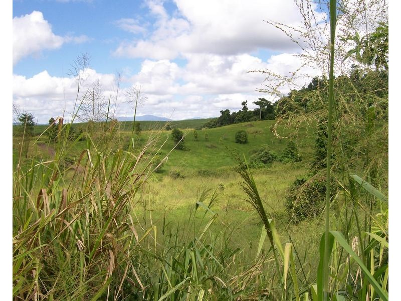 Lot 17 Kimberley Drive, Pin Gin Hill QLD 4860