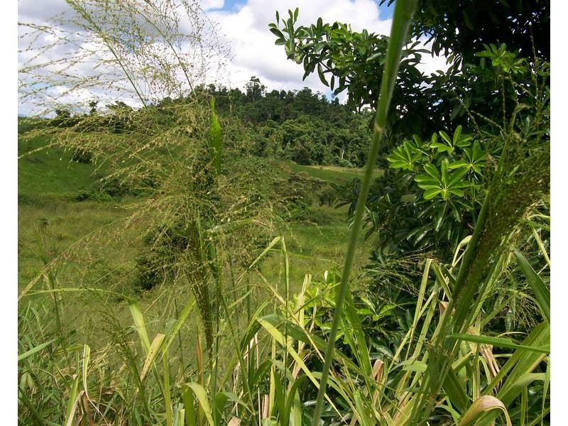 Lot 17 Kimberley Drive, Pin Gin Hill QLD 4860