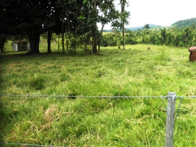 383 mena creek, Mena Creek QLD 4871