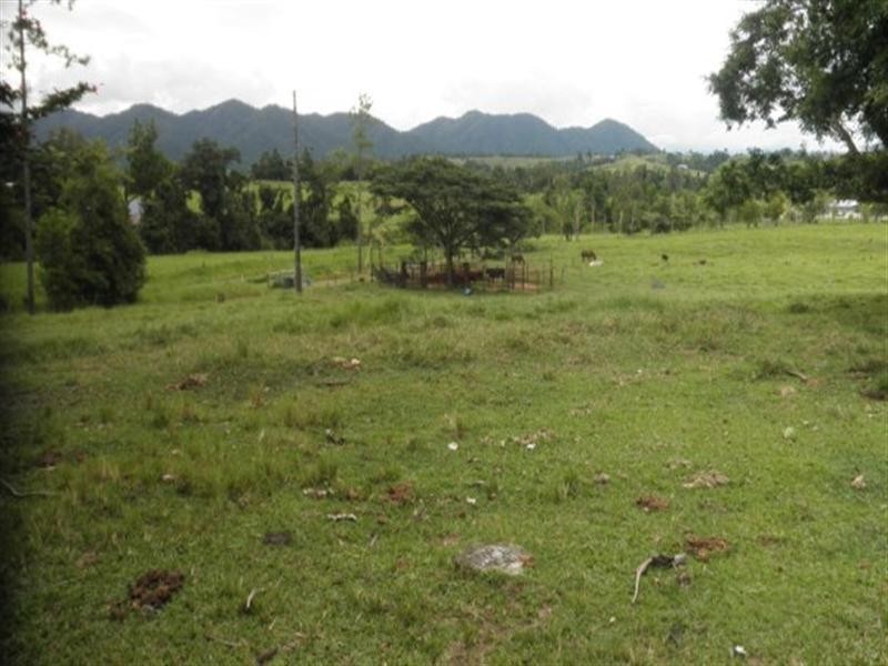 383 mena creek, Mena Creek QLD 4871