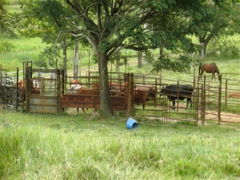 383 mena creek, Mena Creek QLD 4871