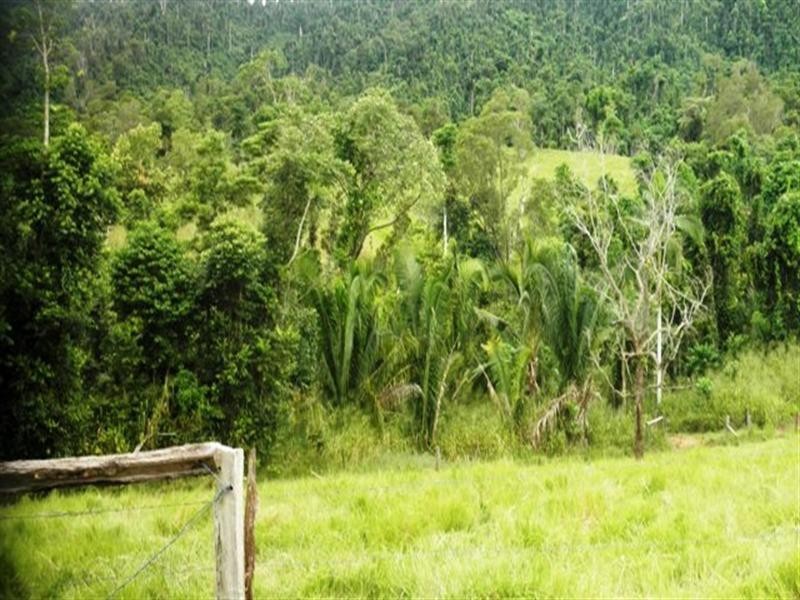 383 mena creek, Mena Creek QLD 4871