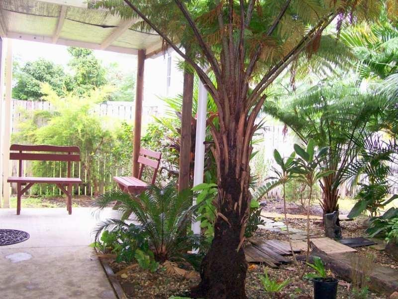 22 Maud Street, Flying Fish Point QLD 4860