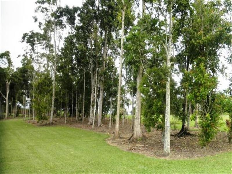 63 EDGERTON, Innisfail QLD 4860