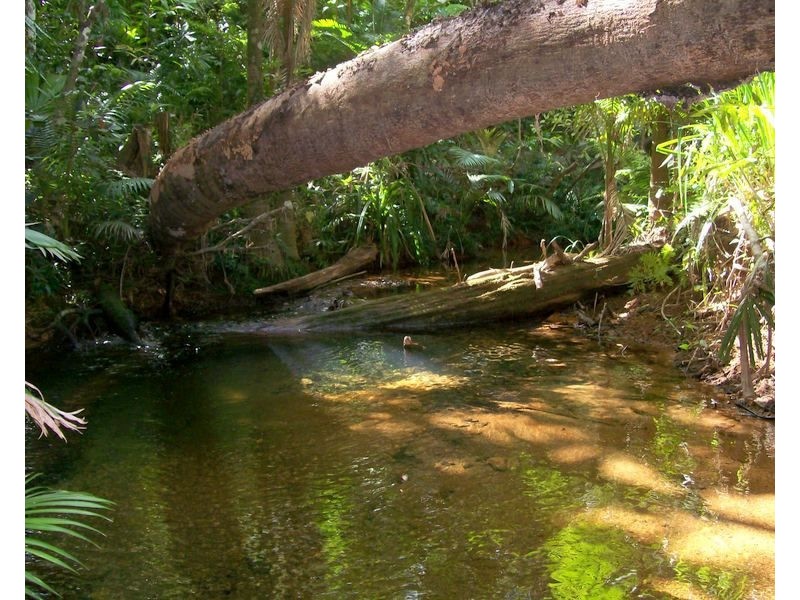 12 Greendale Court, Jubilee Heights QLD 4860