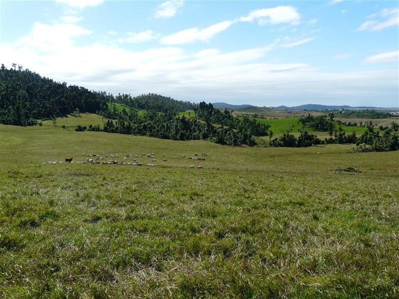 146 Walter Lever Estate Road, Silkwood QLD 4856