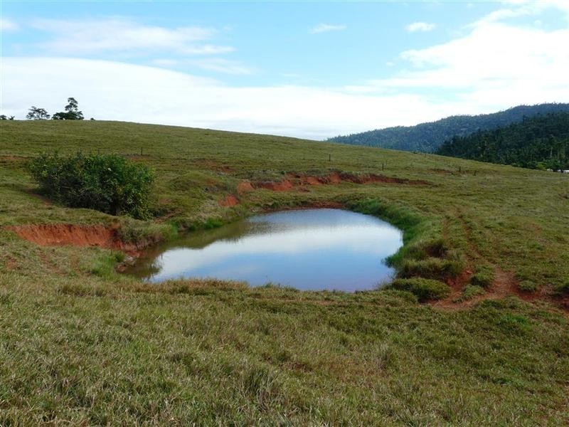 146 Walter Lever Estate Road, Silkwood QLD 4856