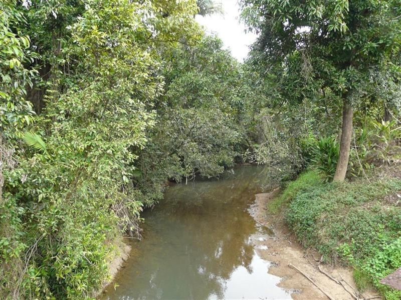 146 Walter Lever Estate Road, Silkwood QLD 4856