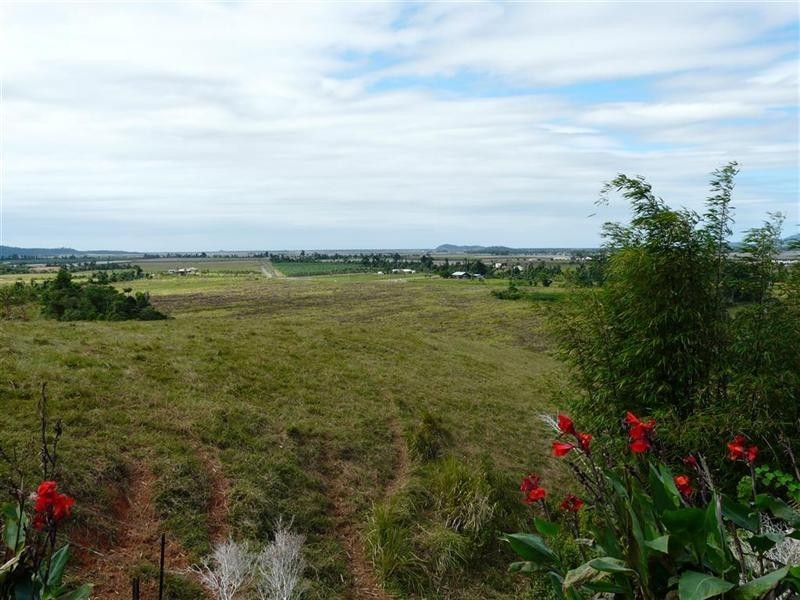 146 Walter Lever Estate Road, Silkwood QLD 4856