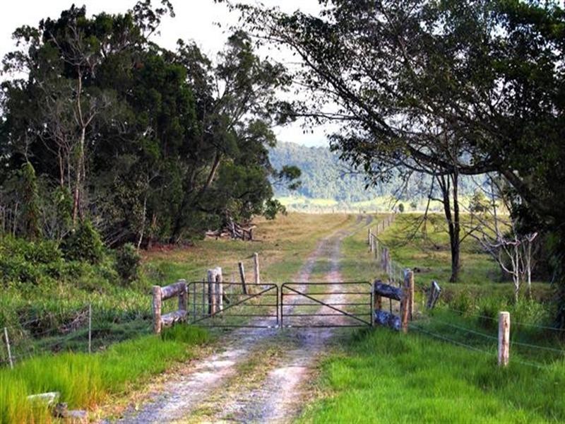 1353 Bramston Beach Road, Bramston Beach QLD 4871