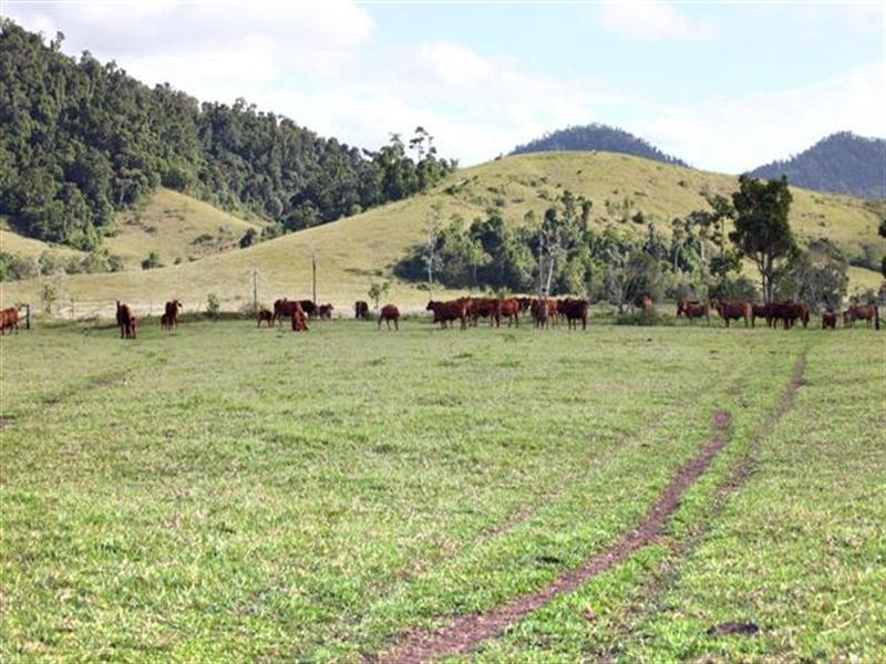 1353 Bramston Beach Road, Bramston Beach QLD 4871