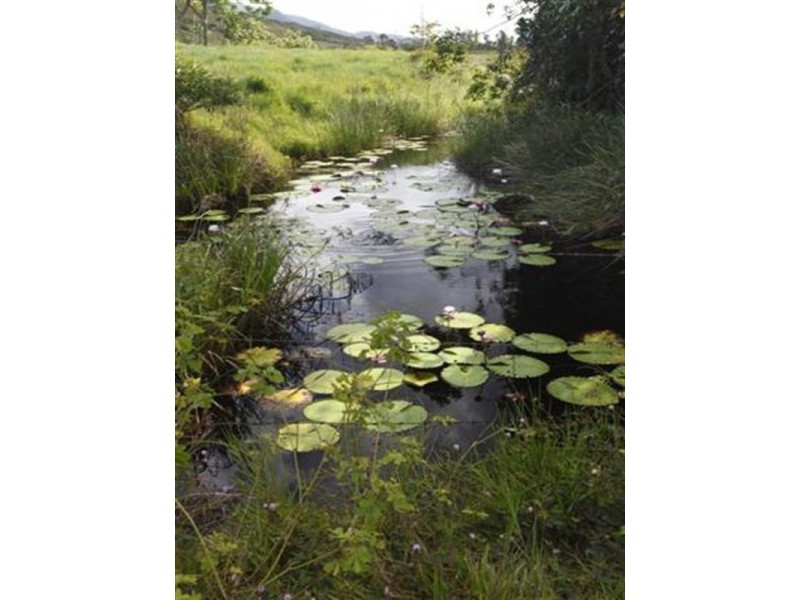 1353 Bramston Beach Road, Bramston Beach QLD 4871