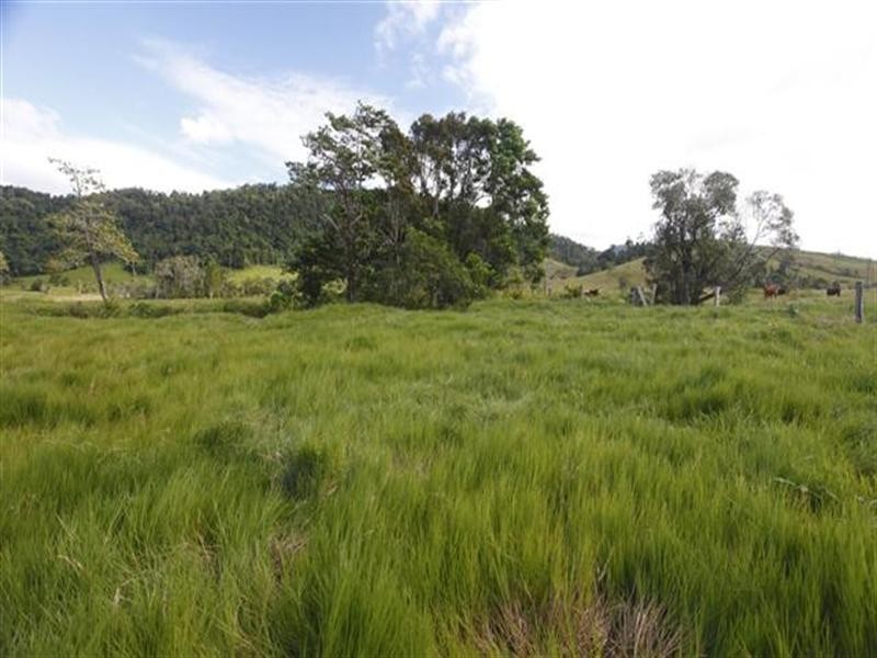 1353 Bramston Beach Road, Bramston Beach QLD 4871