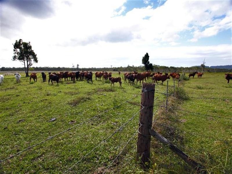 1353 Bramston Beach Road, Bramston Beach QLD 4871