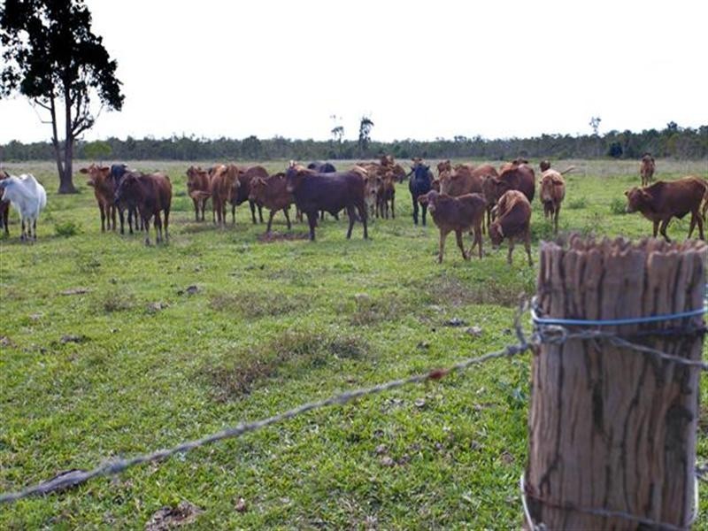 1353 Bramston Beach Road, Bramston Beach QLD 4871