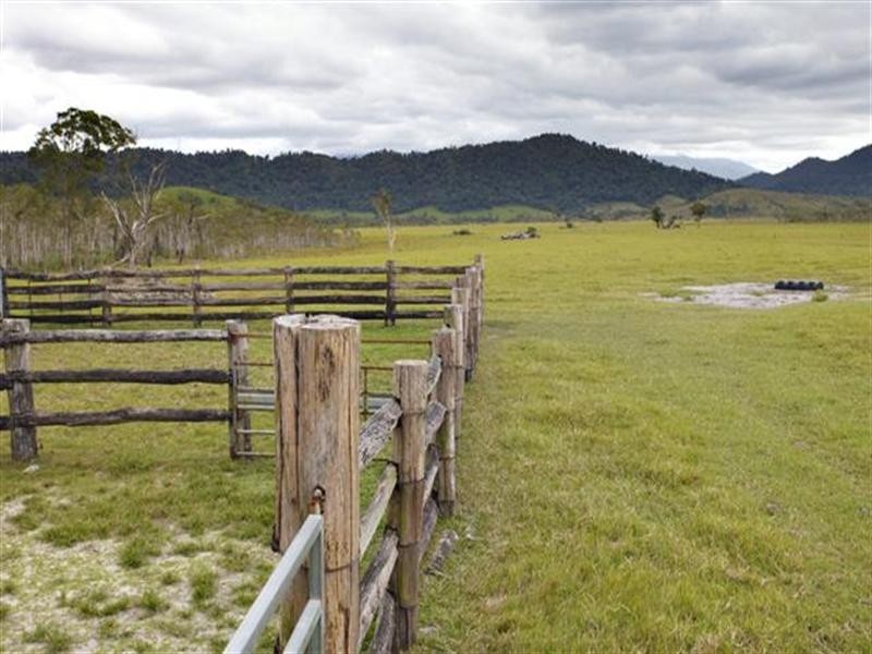 1353 Bramston Beach Road, Bramston Beach QLD 4871