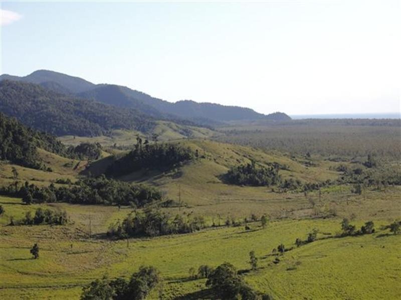 1353 Bramston Beach Road, Bramston Beach QLD 4871