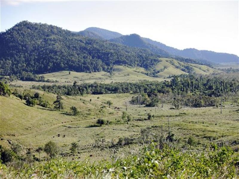 1353 Bramston Beach Road, Bramston Beach QLD 4871