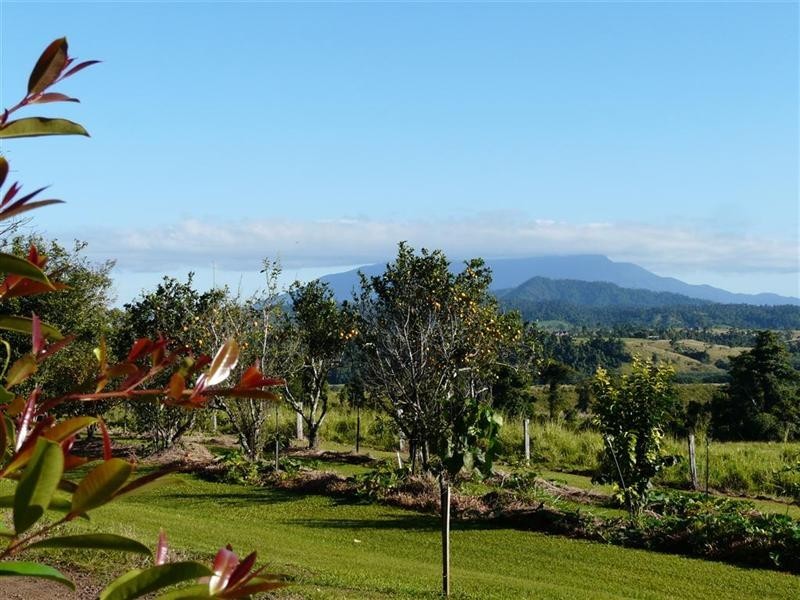 470 Palmerston Highway, Innisfail QLD 4860