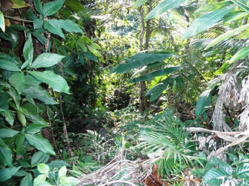 3 Warrubullen, Innisfail QLD 4860