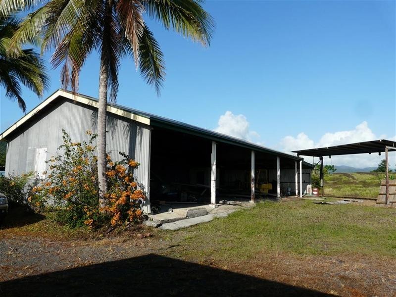384 Mena Creek Road, Mena Creek QLD 4871