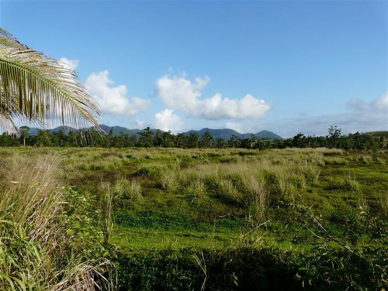 384 Mena Creek Road, Mena Creek QLD 4871